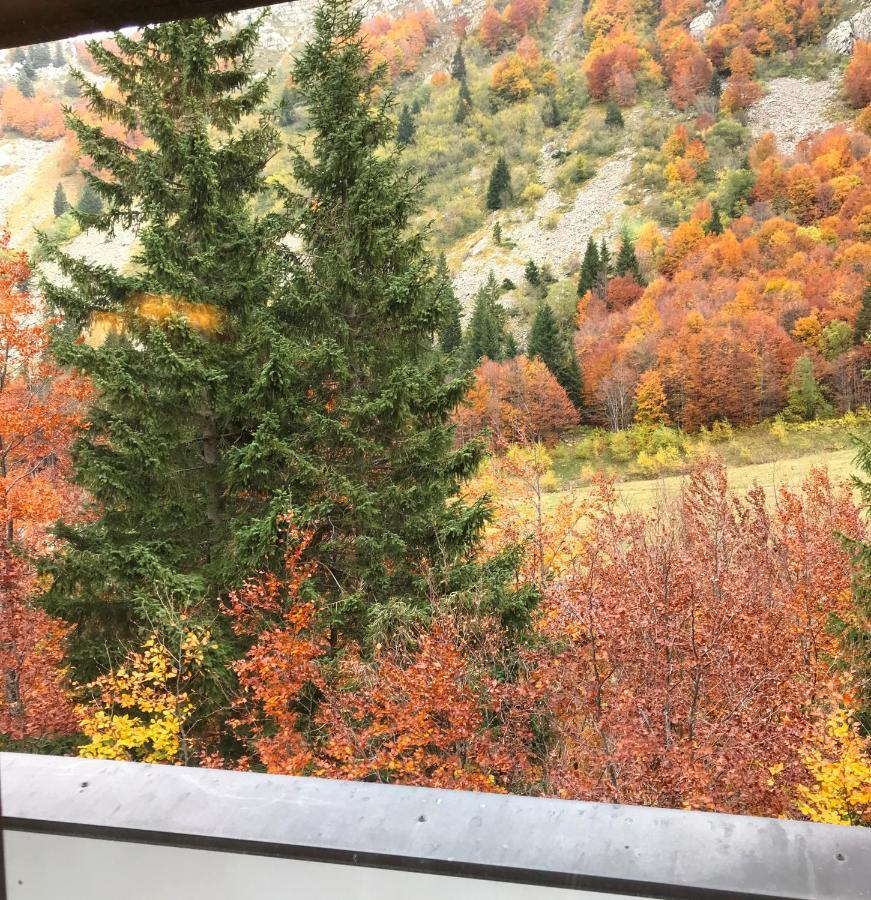 Val Di Luce - Delizioso Appartamento 6 Posti Letto - Accesso Diretto Alle Piste Da Sci Abetone Exterior foto